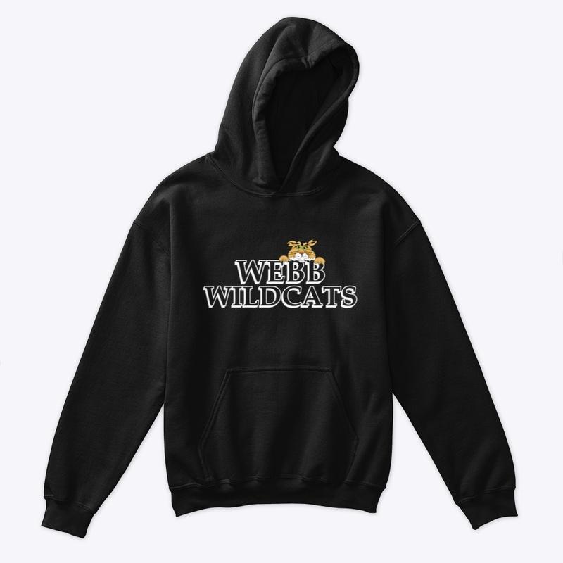 Youth Webster Hoodie (multi color)