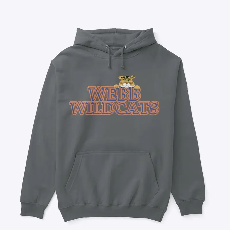 Adult Webster Hoodie (multi color)